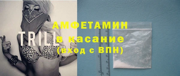 гидра Аркадак